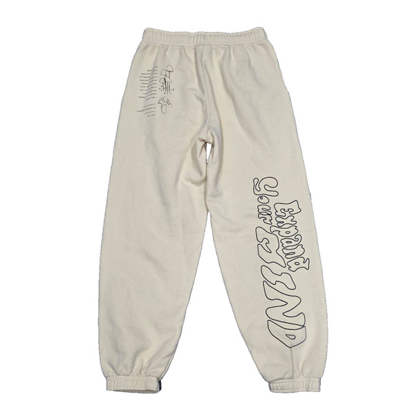 TNA Pants - Aritzia Sweatpants Y2K TNA Graphic Cozy Fleece Cream 2XS A003777